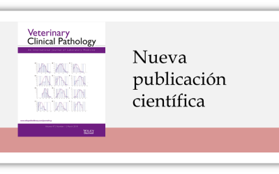 New scientific publication